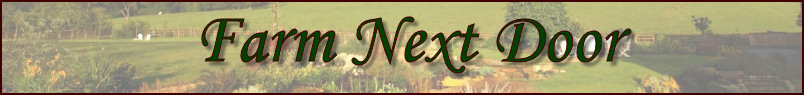 Farm Next Door - Northern Minnesota - wild rice and other products made from natural ingredients